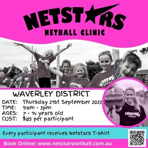 Netstars Netball Clinic WDNA